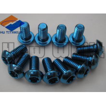 blue Gr5 Titanium torx screws